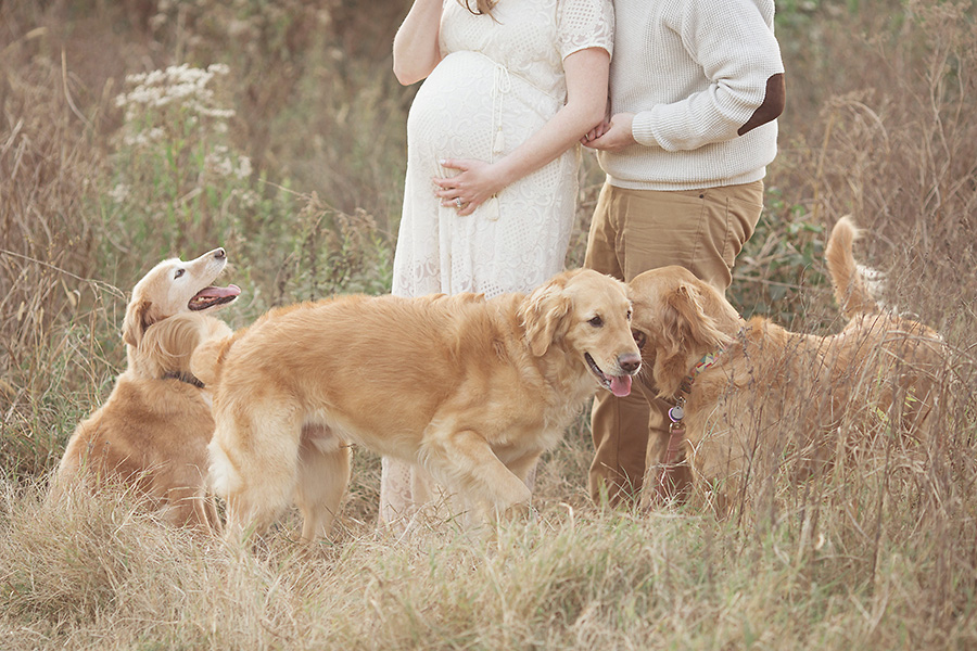 Jenny Cruger Photography | 235 3rd Ave N, Franklin, TN 37064, USA | Phone: (615) 481-3417