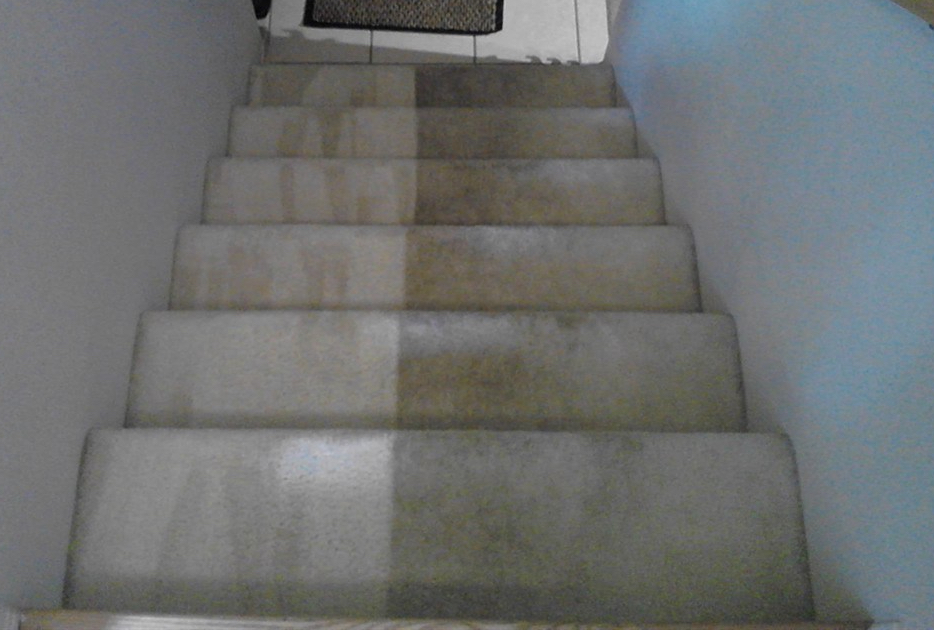 American Maid Cleaning Services, Carpet Cleaning & Window Cleaning | 18555 E Smoky Hill Rd Ste #462364, Aurora, CO 80015, USA | Phone: (303) 801-2851 American Maid Cleaning Services, Carpet Cleaning & Window Cleaning | 18555 E Smoky Hill Rd Ste #462364, Aurora, CO 80015, USA | Phone: (303) 801-2851