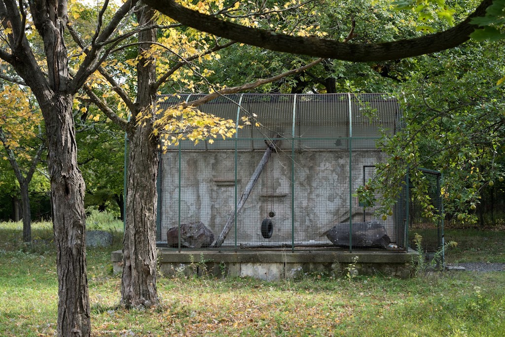 The Old Catskill Game Farm - Abandoned Zoo | 400 Game Farm Rd, Catskill, NY 12414 | Phone: (518) 719-2177