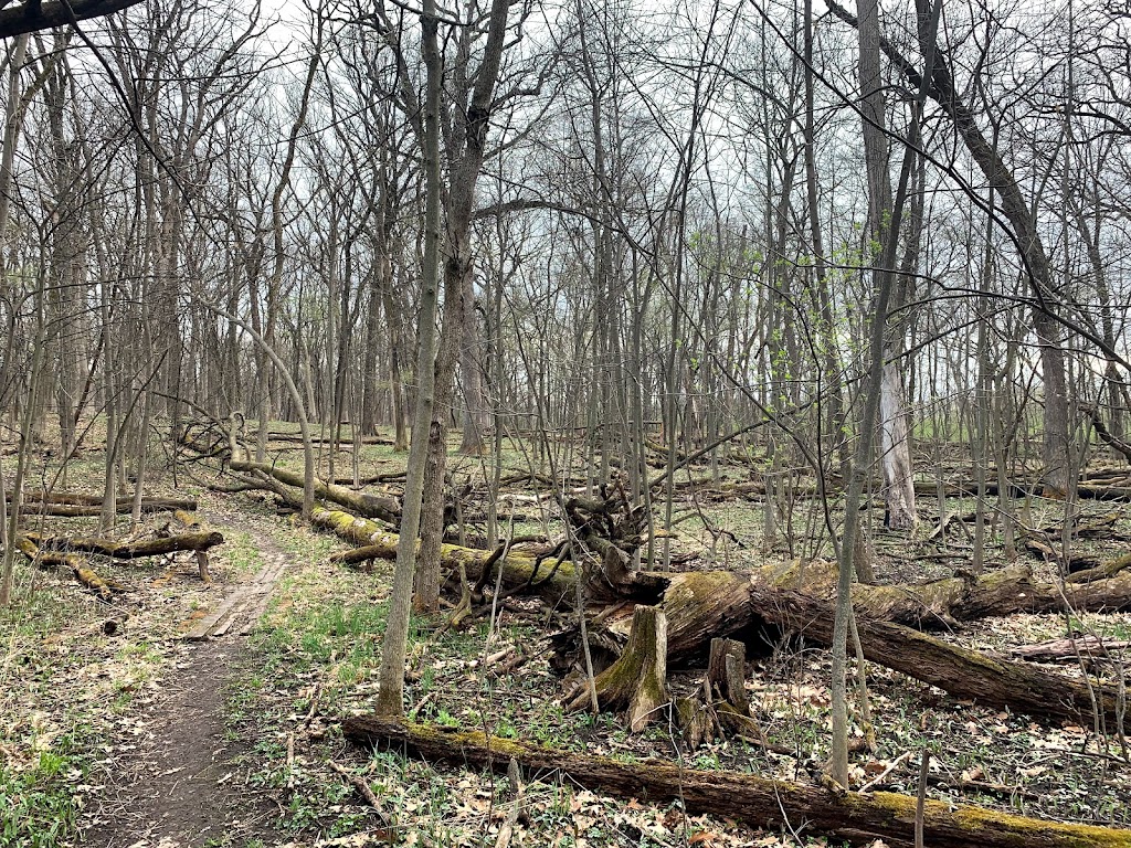Lyman Woods & William F. Sherman, Jr. Interpretive Center | 901 31st St, Downers Grove, IL 60515, USA | Phone: (630) 963-9388