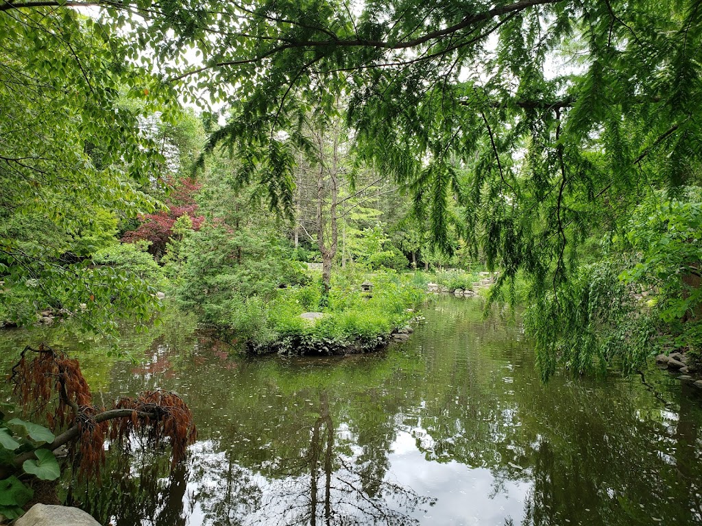 Cranbrook Japanese Gardens | 700 Cranbrook Rd, Bloomfield Hills, MI 48304, USA | Phone: (248) 645-3147