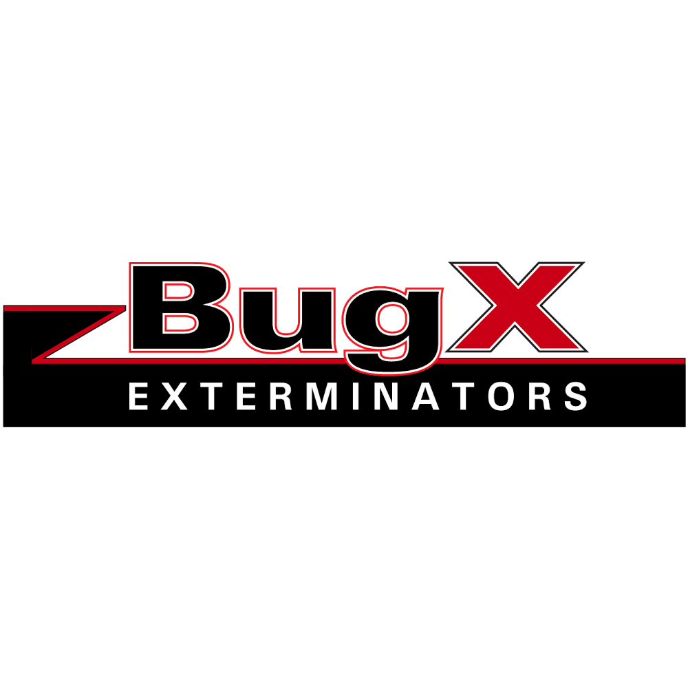 BugX Exterminators | 4100 Black Oak Trail, Brooksville, FL 34604, USA | Phone: (352) 544-8383