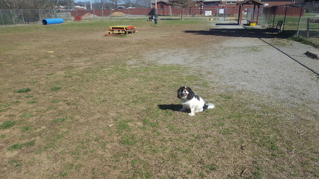 Maggies Bark Park | 138 Claude Yates Dr, Franklin, TN 37064, USA | Phone: (615) 790-5719