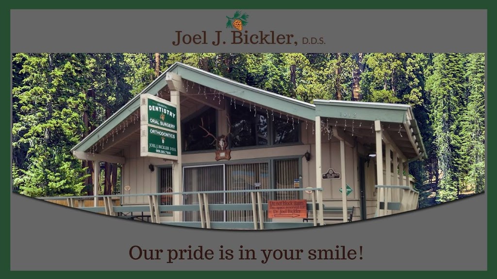 Joel J. Bickler, DDS | 1012 W Big Bear Blvd, Big Bear, CA 92314, USA | Phone: (909) 585-7444