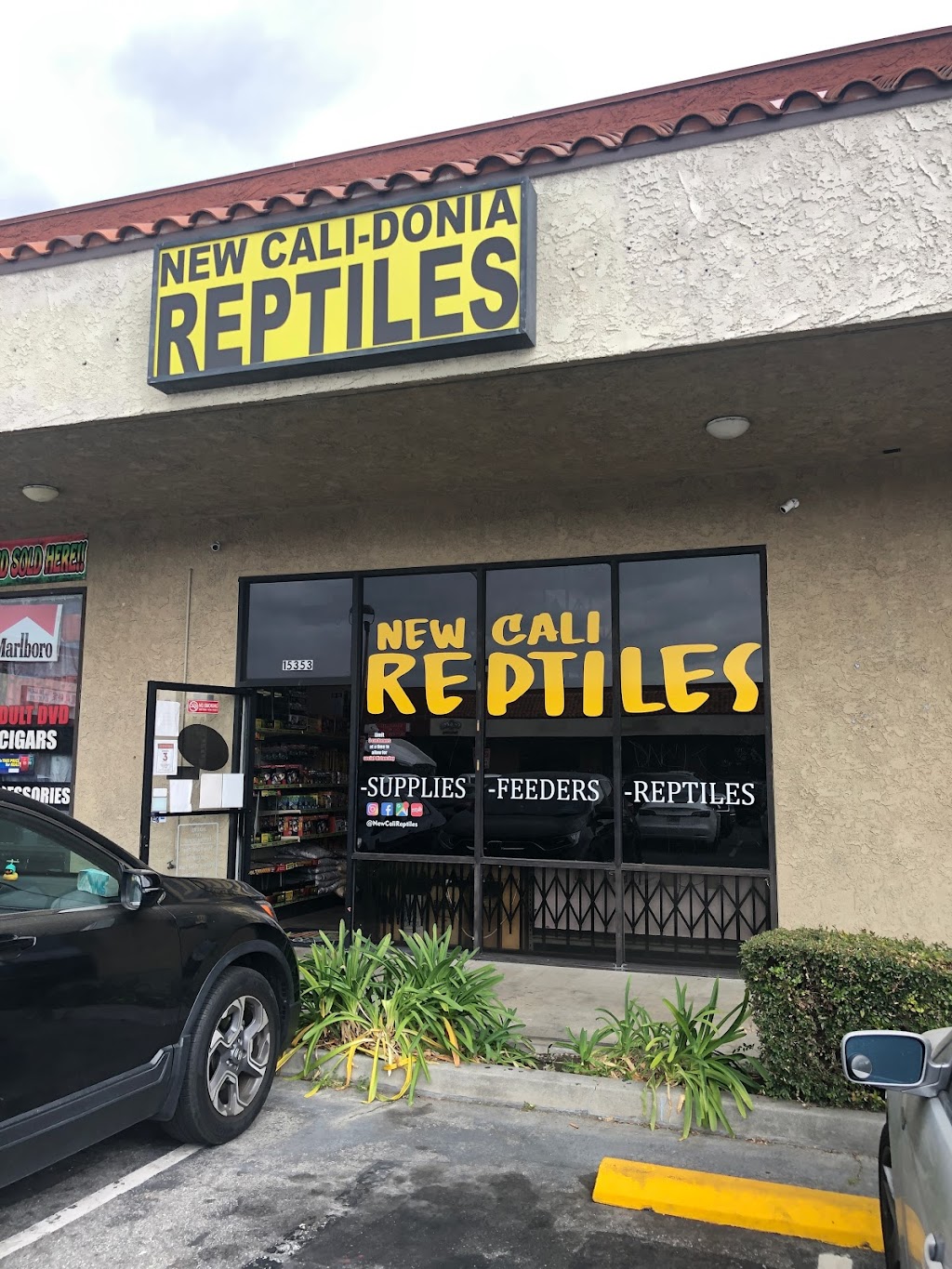 New Cali Reptiles | 15353 Gale Ave, Hacienda Heights, CA 91745, USA | Phone: (626) 333-3766