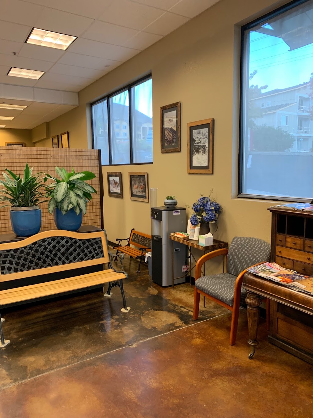 Clearview Chiropractic | 4250 Cochise St Suite #10, Carson City, NV 89703, USA | Phone: (775) 882-1444