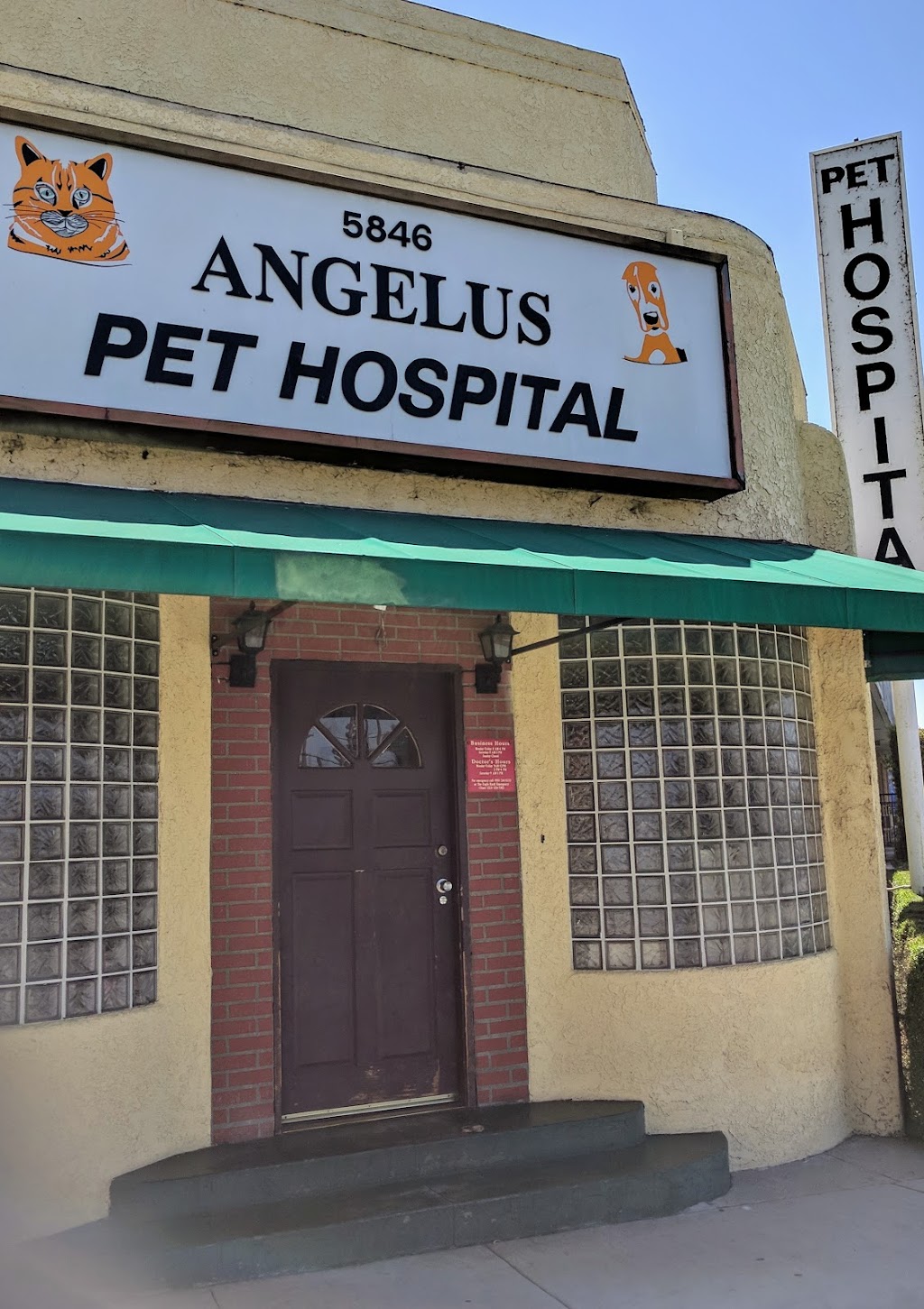 Angelus Pet Hospital | 5846 San Fernando Rd, Glendale, CA 91202, USA | Phone: (818) 241-8333