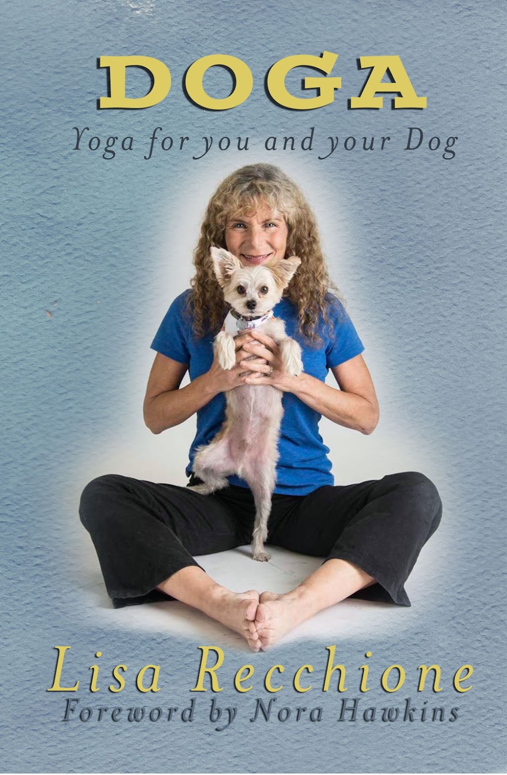 Lisa Recchione Yoga | 8005 Hibiscus Dr, Temple Terrace, FL 33637, USA | Phone: (727) 278-6650