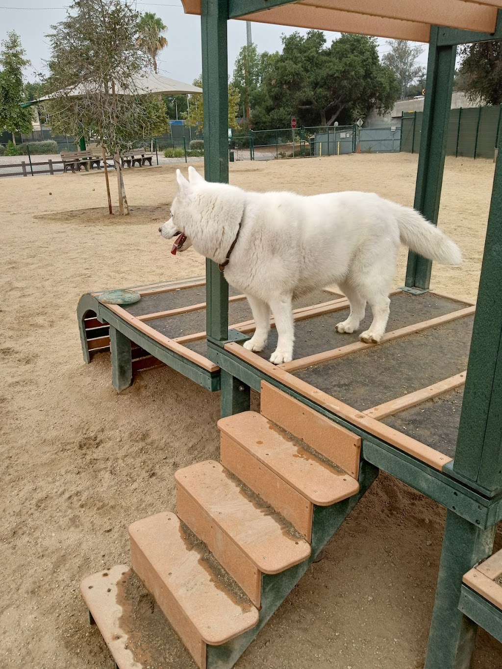 South Pawsadena Dog Park | 650 Stoney Dr, South Pasadena, CA 91030, USA | Phone: (626) 403-7380