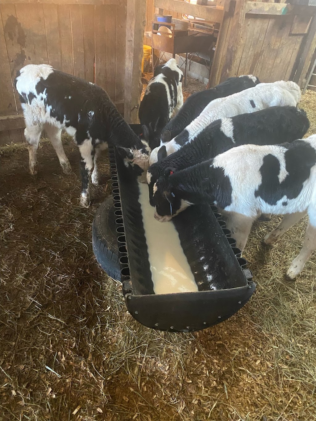 Smitty Feed Troughs | 945 Old Spurlington Rd, Campbellsville, KY 42718, USA | Phone: (270) 789-8108