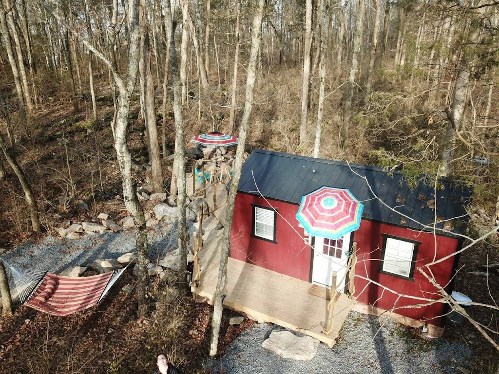 Twig City Farm | 2892 Academy Rd, Lebanon, TN 37087, USA | Phone: (615) 636-5137