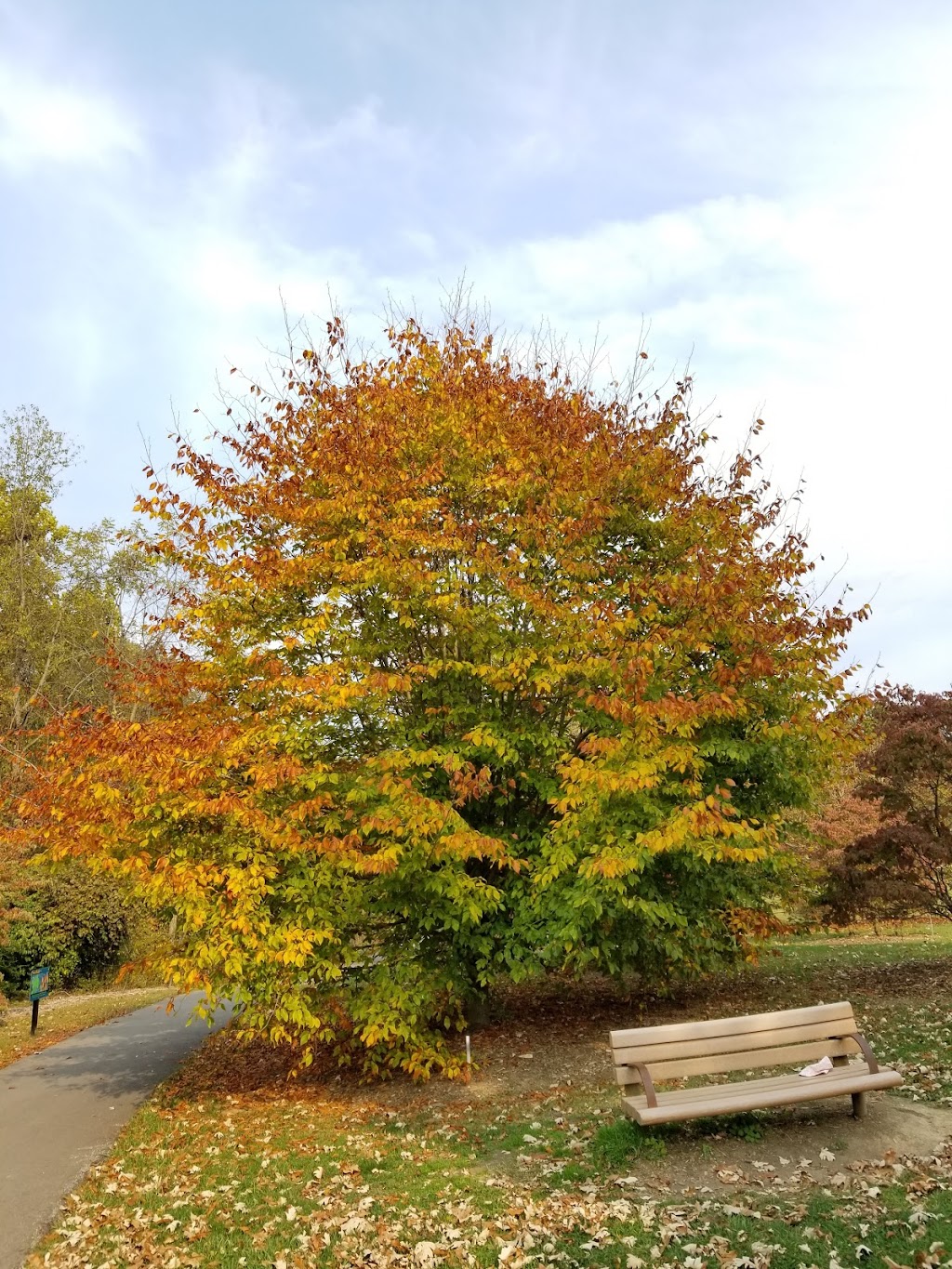 Boone County Arboretum | 9190 Camp Ernst Rd, Union, KY 41091, USA | Phone: (859) 384-4999