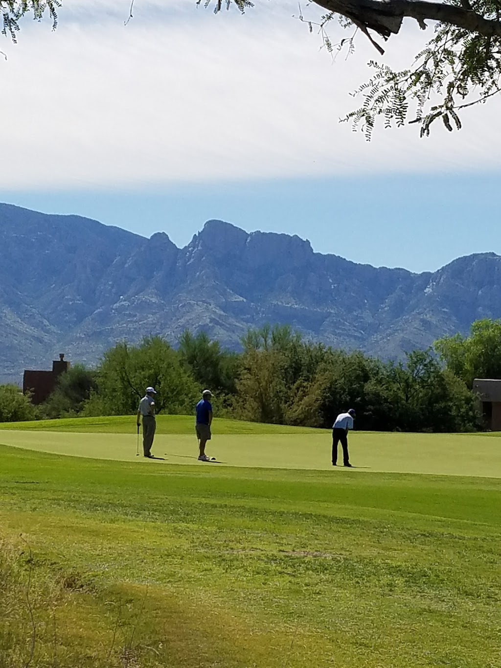 Stone Canyon Sales Office OneOak by 1st Heritage Realty | 405 Tortolita Mountain Cir, Oro Valley, AZ 85755, USA | Phone: (520) 219-9000