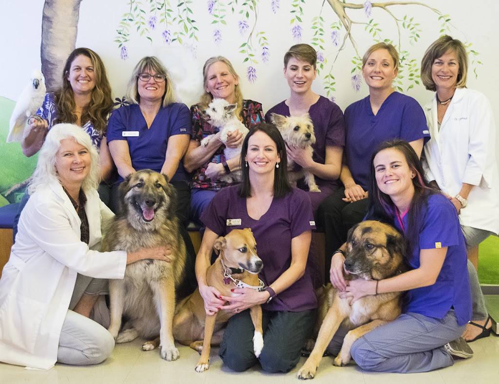 Best Friends Animal Hospital | 5110 Clark Rd, Sarasota, FL 34233, USA | Phone: (941) 927-4567