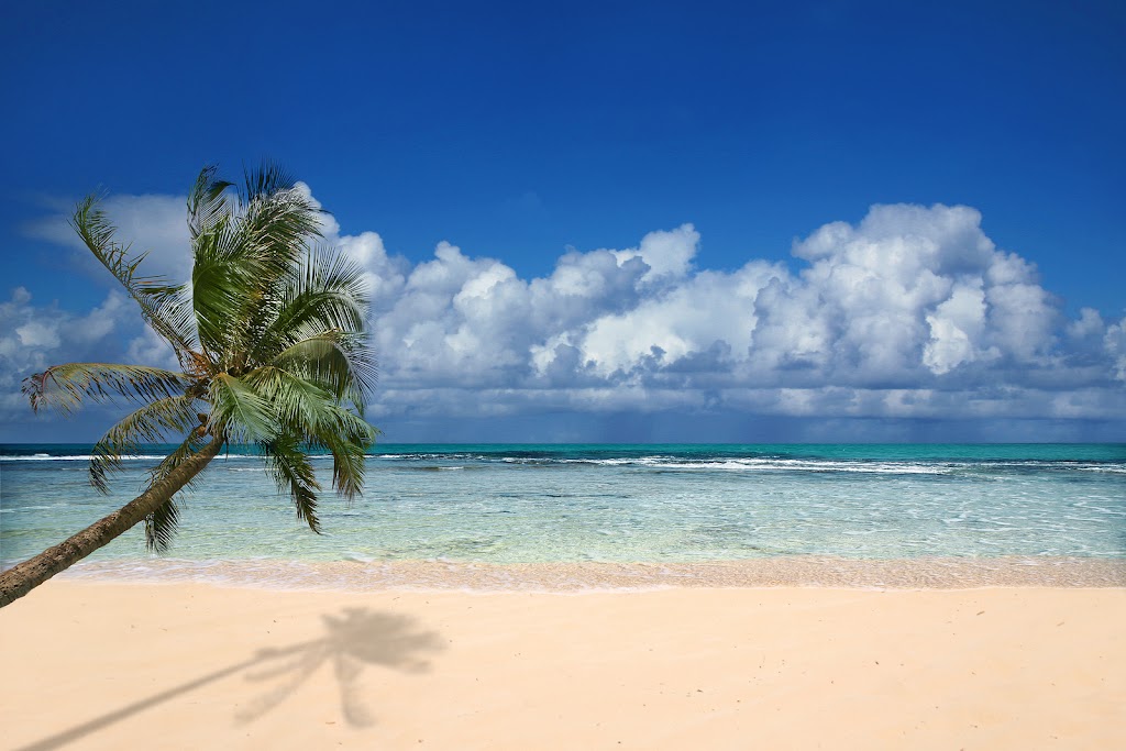 Sunset Homes | 66-590 Kamehameha Hwy #2c, Haleiwa, HI 96712, USA | Phone: (808) 637-2400