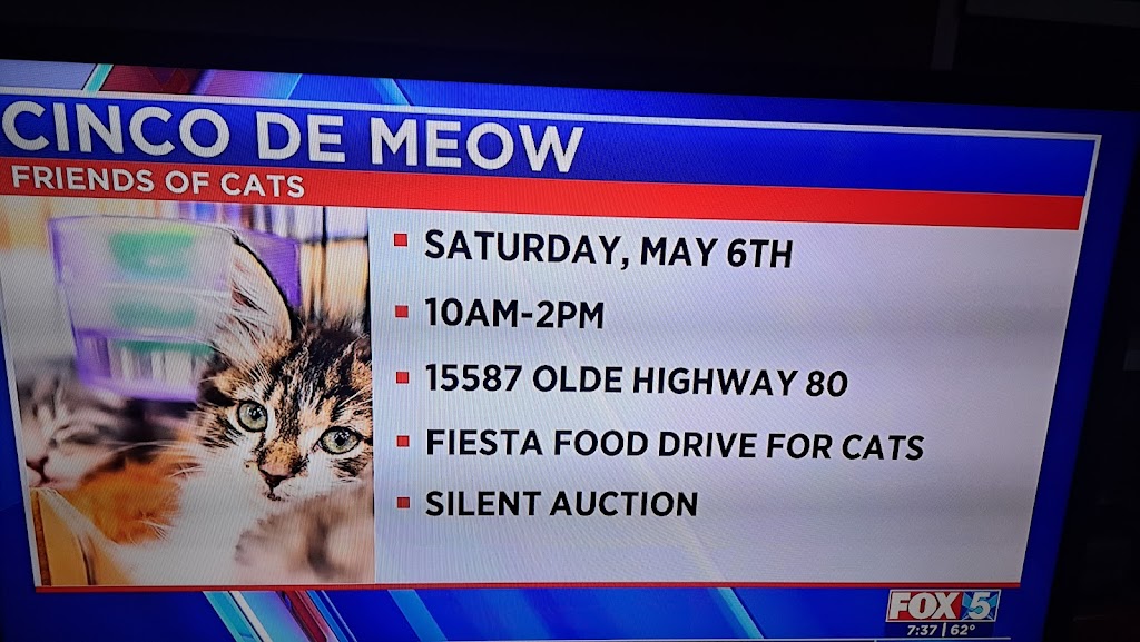 Old Hwy 80 Storage | 32337 Old Hwy 80, Campo, CA 91906, USA | Phone: (619) 315-1250