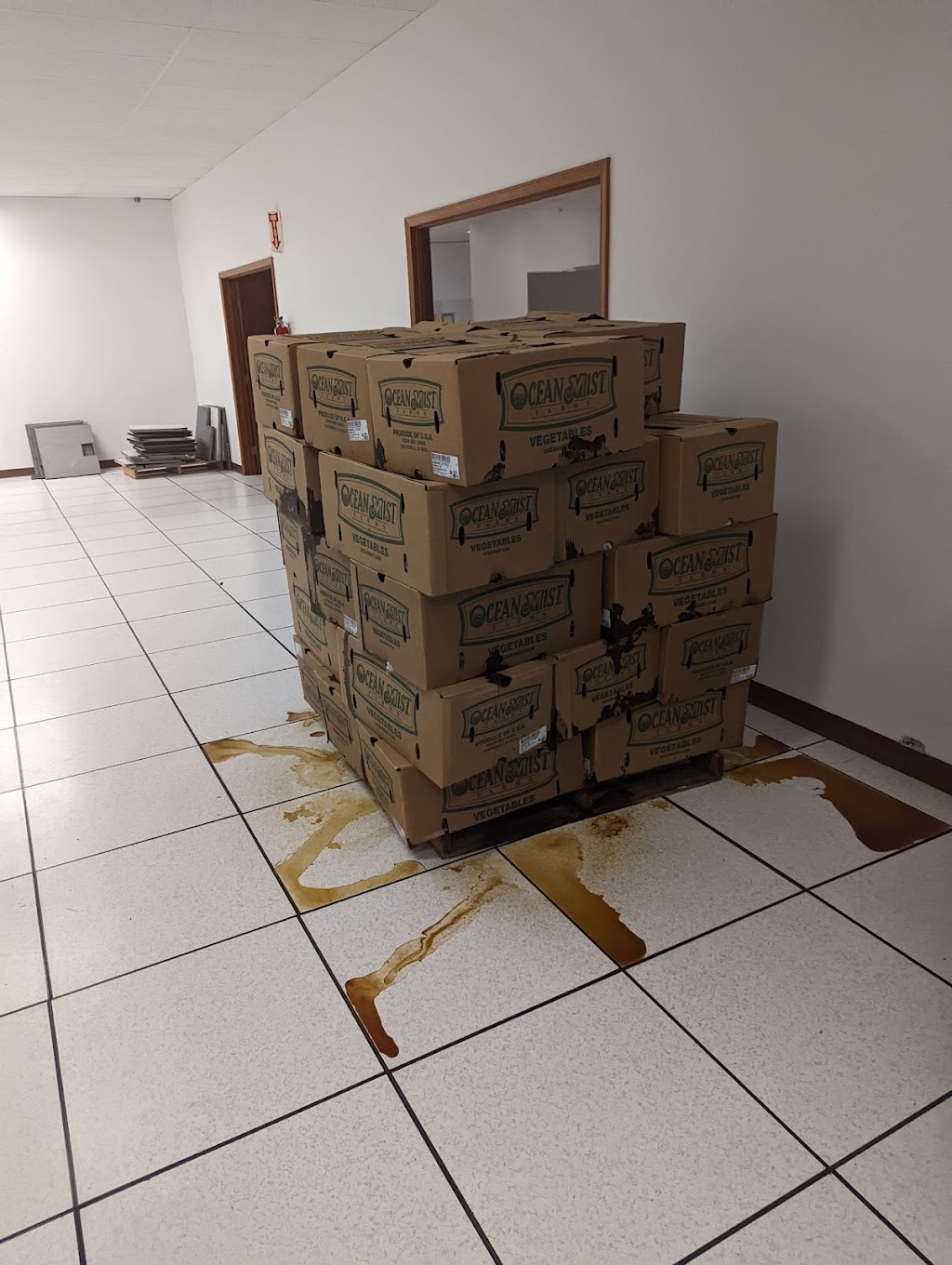 Delannoys Cleaning Company | 11A Spruce St, Albany, NY 12205, USA | Phone: (518) 949-2370