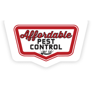 Affordable Pest Control | 2342 Black Gold Dr, Indianapolis, IN 46234 | Phone: (317) 400-5653
