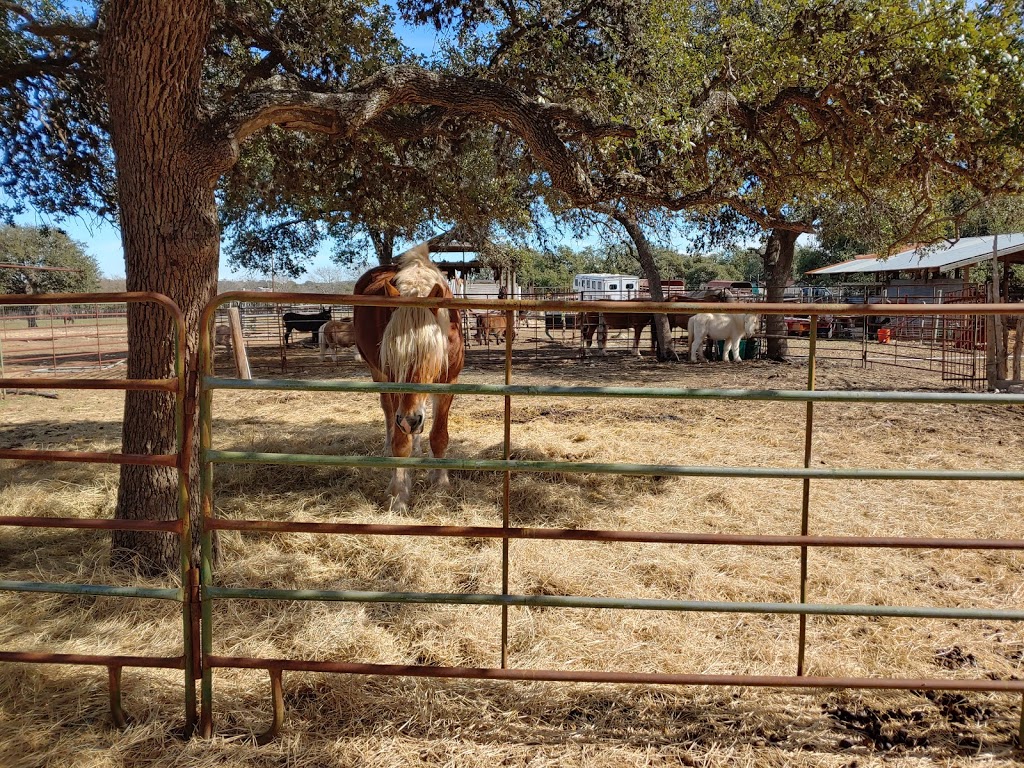 The Farmyard | 30250 Leroy Scheel Rd, Bulverde, TX 78163, USA | Phone: (830) 438-7669