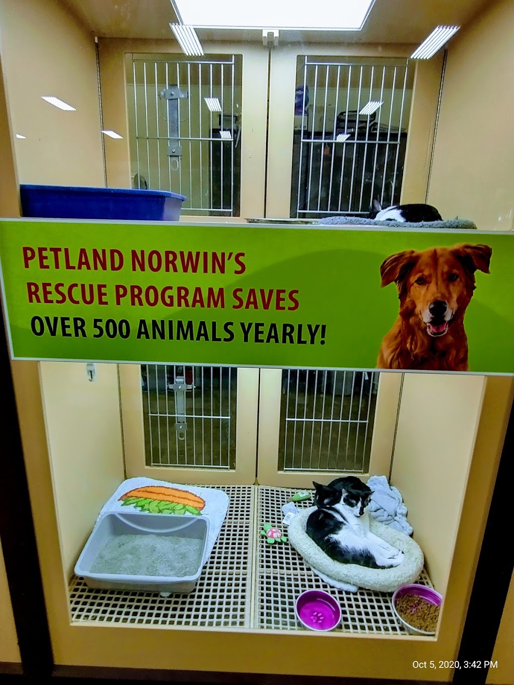 Petland Norwin | 12120 State, US-30, North Huntingdon, PA 15642, USA | Phone: (724) 515-5287