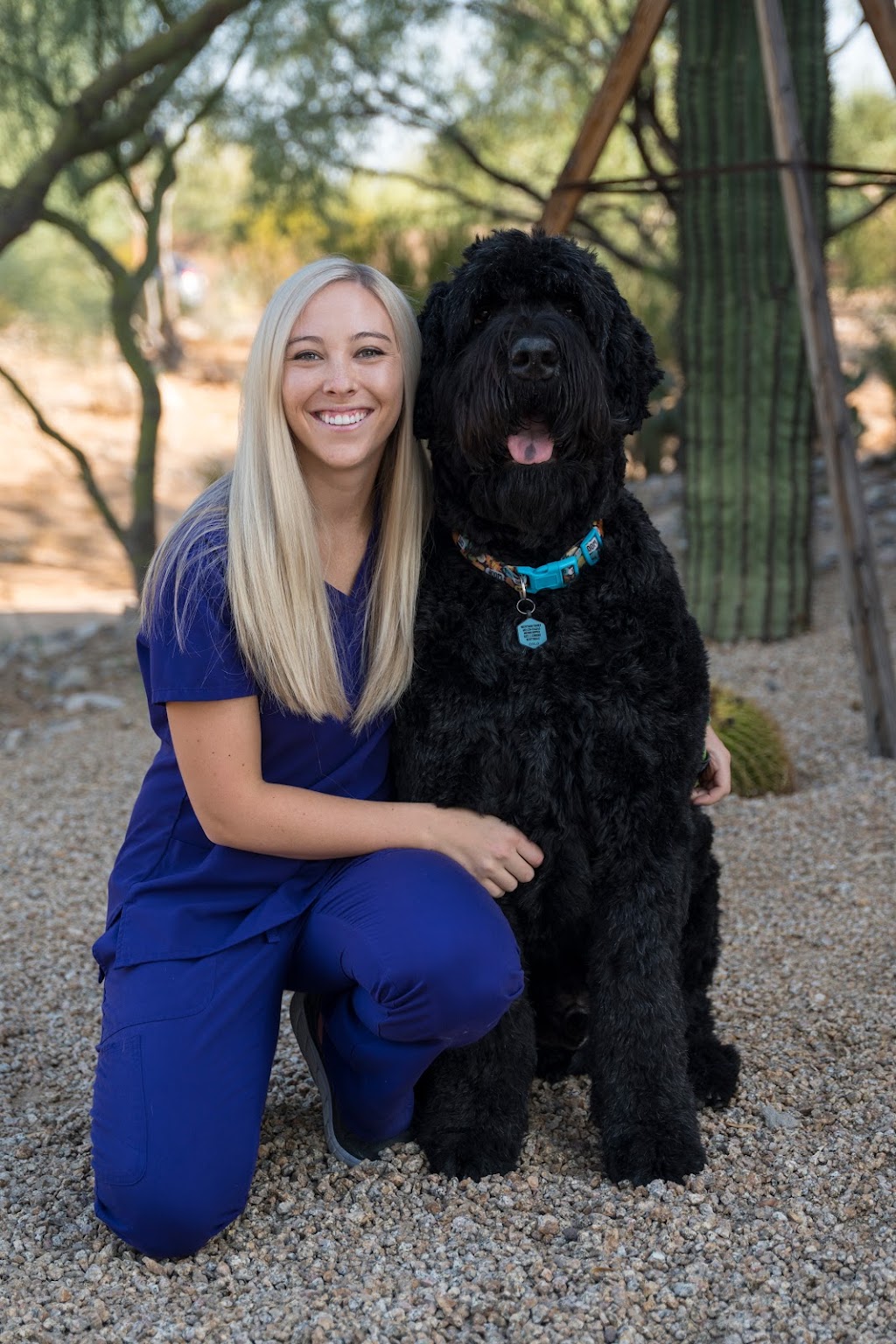 Scottsdale Animal Healthcare, Veterinary Hospital | 18291 N Pima Rd a100, Scottsdale, AZ 85255 | Phone: (480) 538-9000