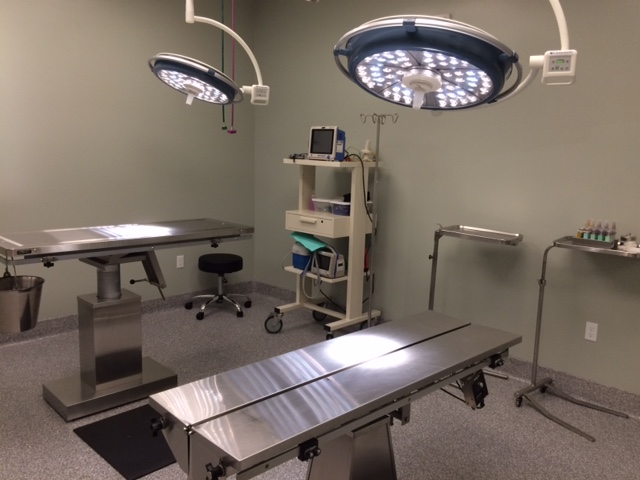 Animal Emergency Clinic | 22085 Commerce Wy, Grand Terrace, CA 92313, USA | Phone: (909) 825-9350