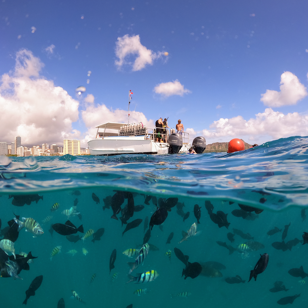 Honolulu snorkeling tour | 1125 Ala Moana blvd Slip A5, Honolulu, HI 96814, USA | Phone: (808) 224-7857