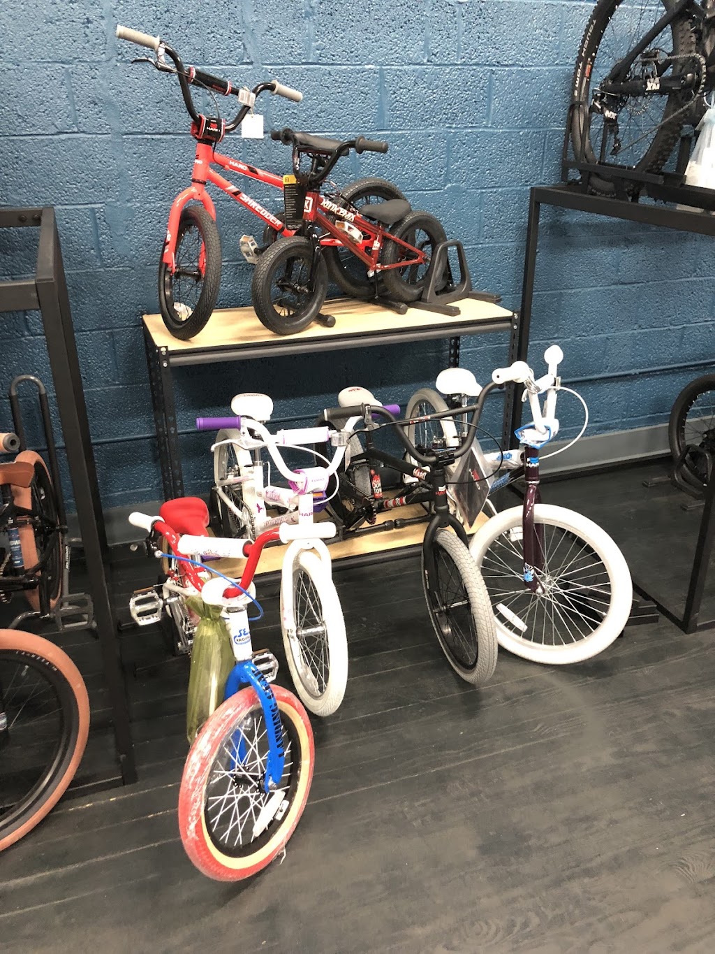 Downtown Bicycle Works Service Center | 4521 US-220, Summerfield, NC 27358 | Phone: (336) 258-2294