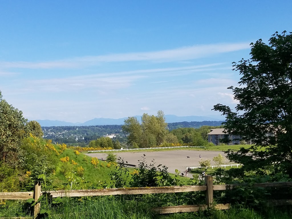 Grandview Off-Leash Dog Park | 3507 S 228th St, SeaTac, WA 98198, USA | Phone: (206) 973-4670