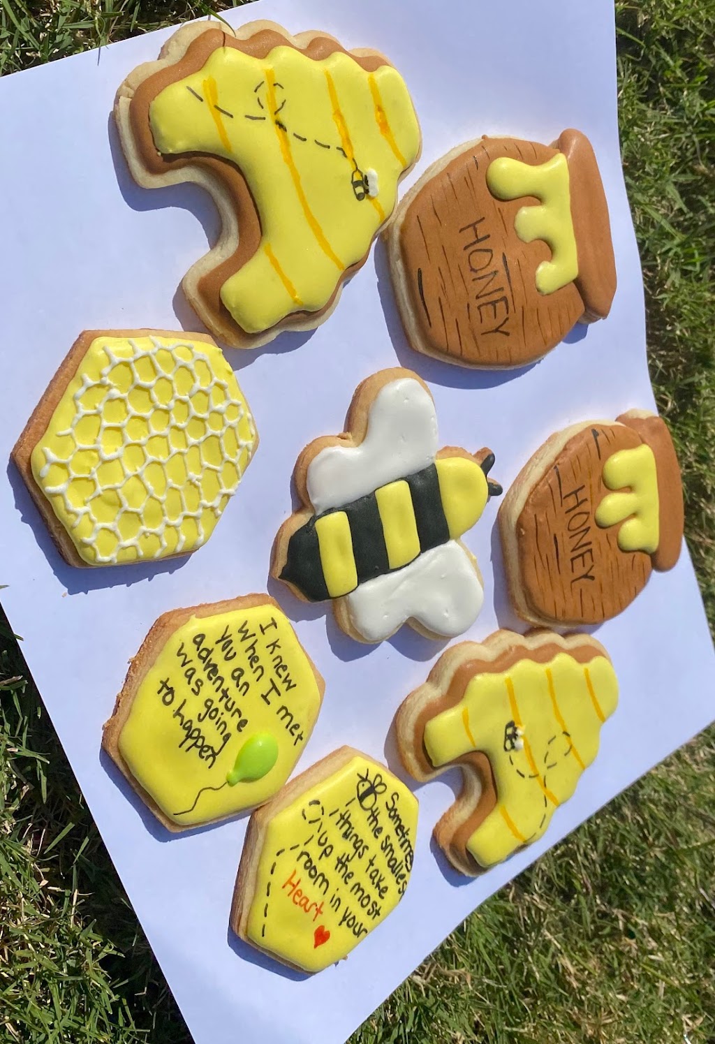 Comets Cookie Creations | 3028 Avalon Terrace Dr, Valrico, FL 33596 | Phone: (813) 638-9202
