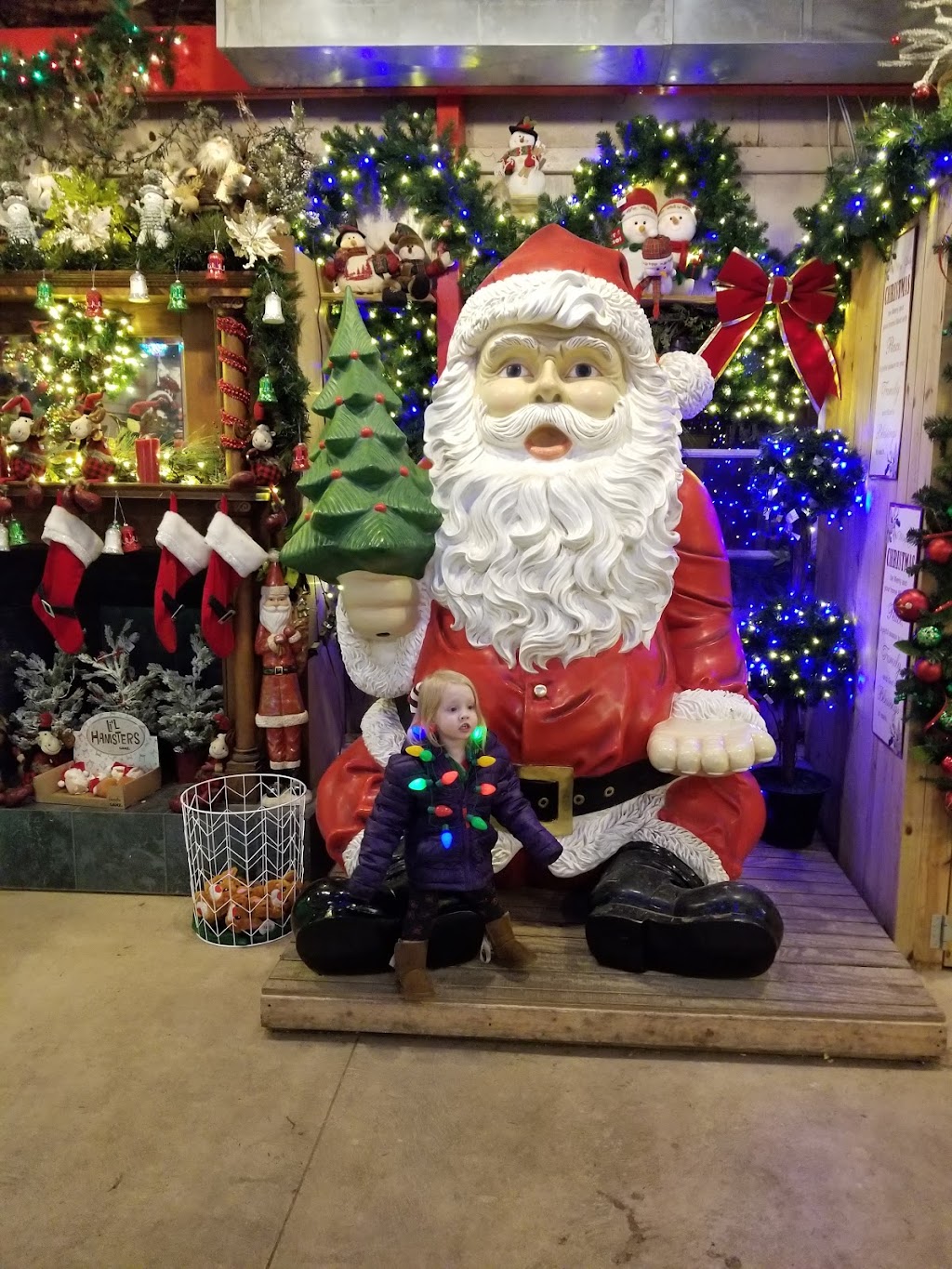 Christmas Ranch | 3205 S Waynesville Rd, Morrow, OH 45152, USA | Phone: (513) 444-9362