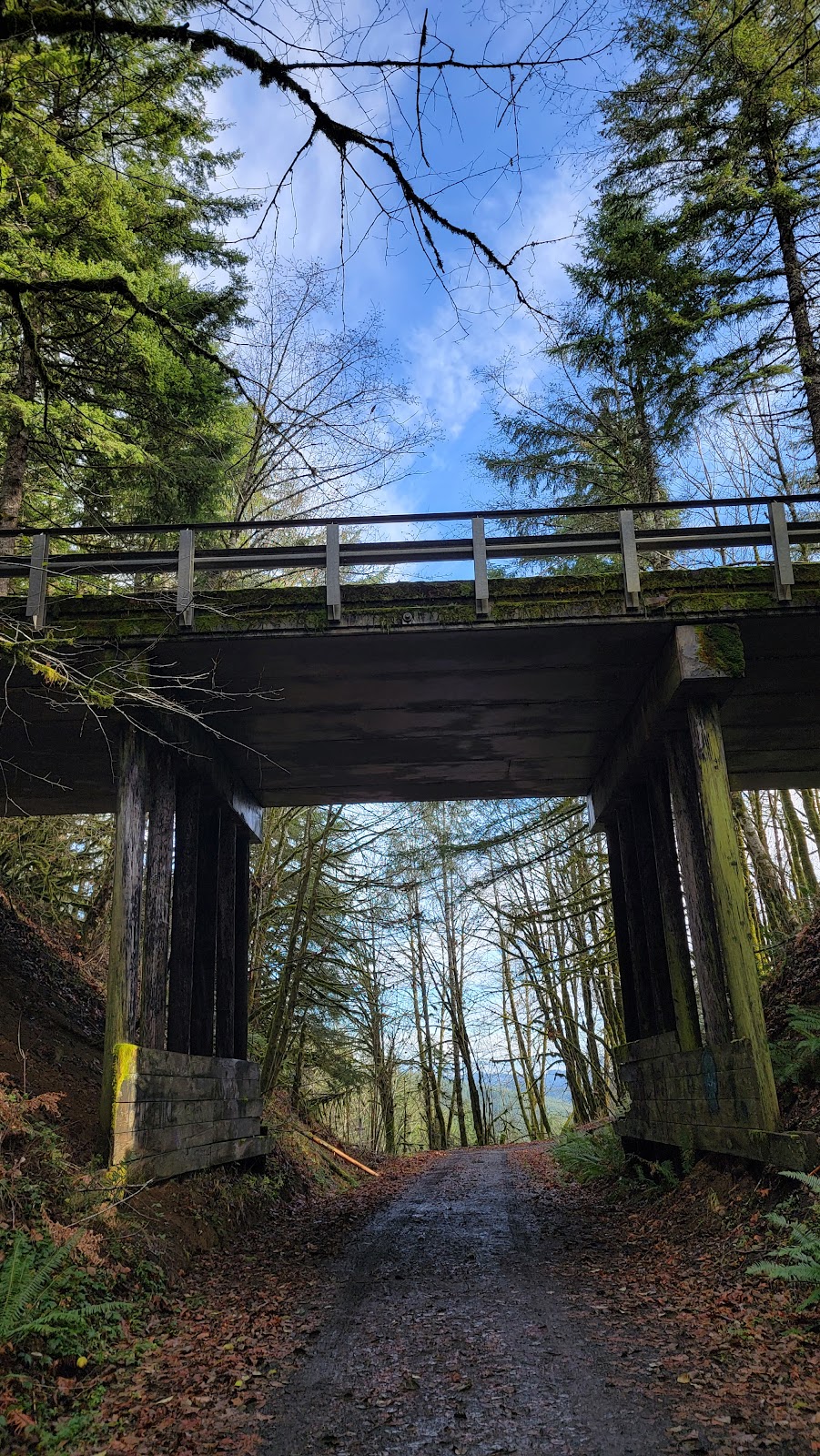 Chapman Landing Trailhead - CZ Trail | Unnamed Road, Scappoose, OR 97056 | Phone: (503) 543-7146