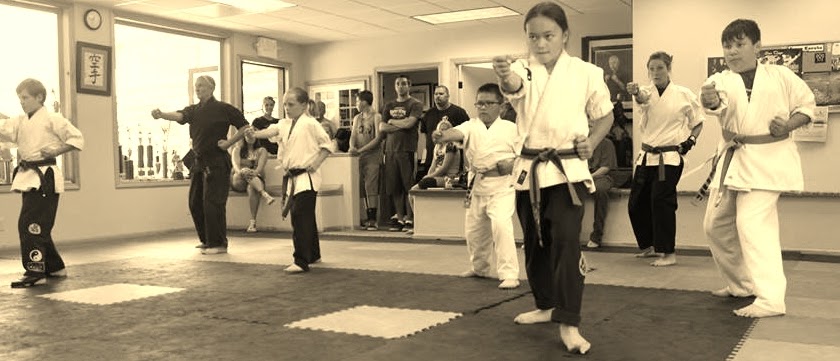 Puma Karate | 42565 Moonridge Rd, Big Bear Lake, CA 92315, USA | Phone: (909) 281-4278