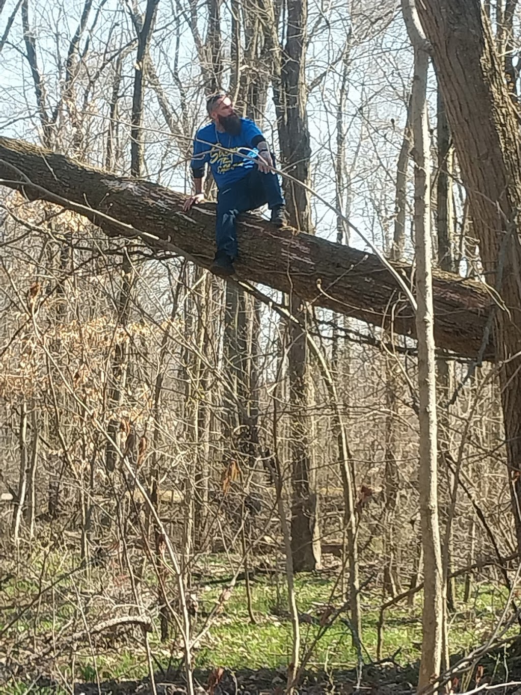 Benton Dam ‒ River Preserve County Park | 68552 Co Rd 31, New Paris, IN 46553, USA | Phone: (574) 535-6458