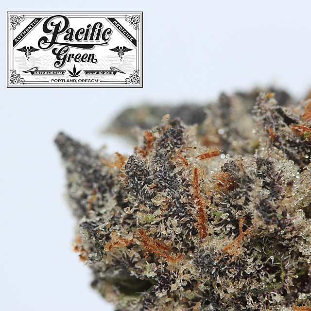 Pacific Green | 710 NE Killingsworth St, Portland, OR 97211, USA | Phone: (971) 242-8535