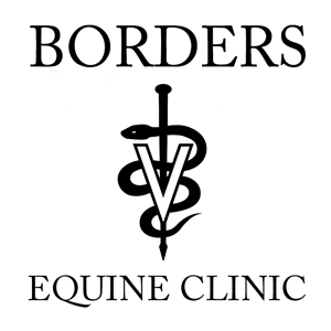 Borders Equine Clinic | 7518 Lanktree Ln, Middleton, ID 83644, USA | Phone: (208) 989-0359