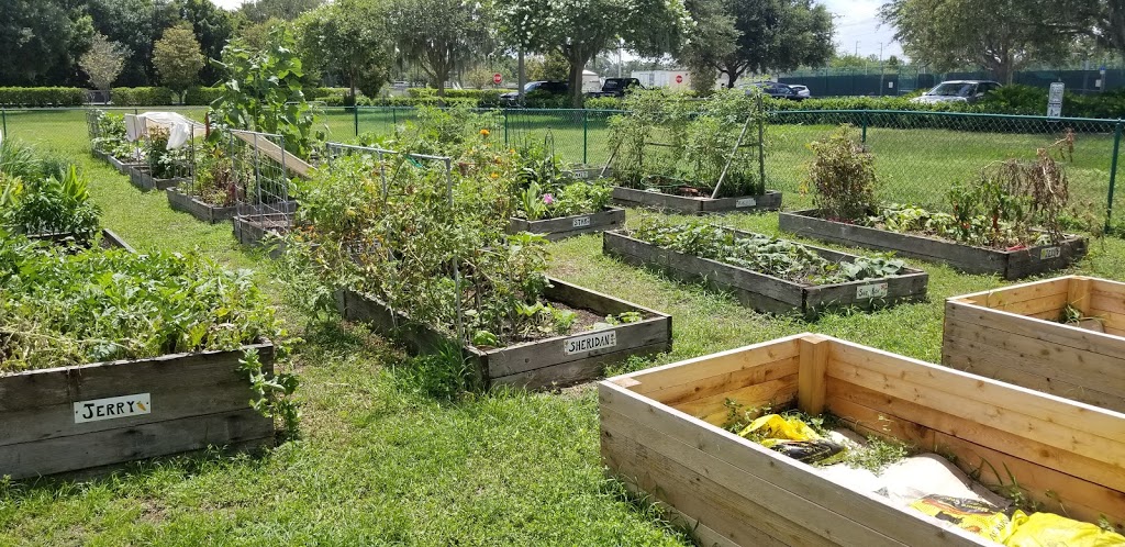 Oldsmar Organic Community Garden | 423 Lafayette Blvd, Oldsmar, FL 34677, USA | Phone: (727) 804-4028