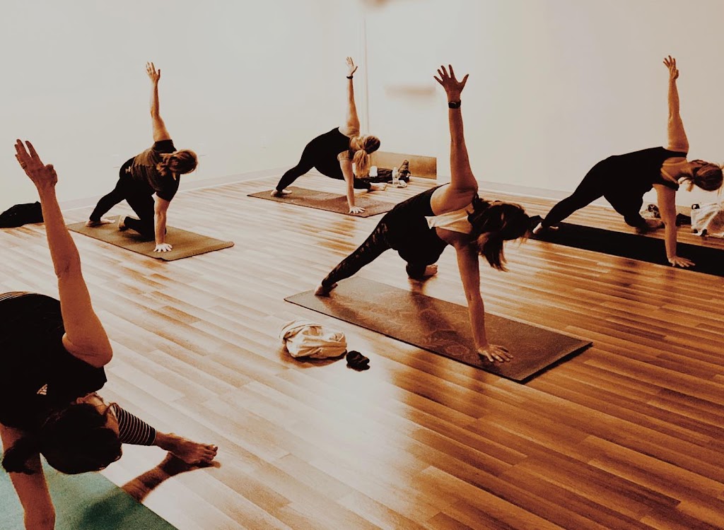 The Yoga Tree | 104 10th Ave NE suite 200, New Prague, MN 56071, USA | Phone: (952) 232-9040