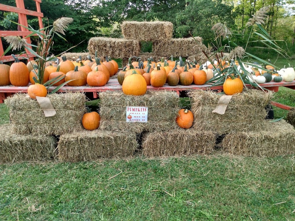 Dizzy Does Goat Ranch & Farm Store | 4180 Dayton Rd, Madison, OH 44057, USA | Phone: (440) 299-8301