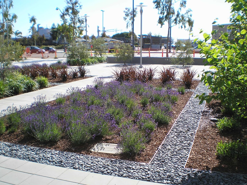 Gachina Landscape Management | 404 Talbert St, Daly City, CA 94014, USA | Phone: (866) 266-6940