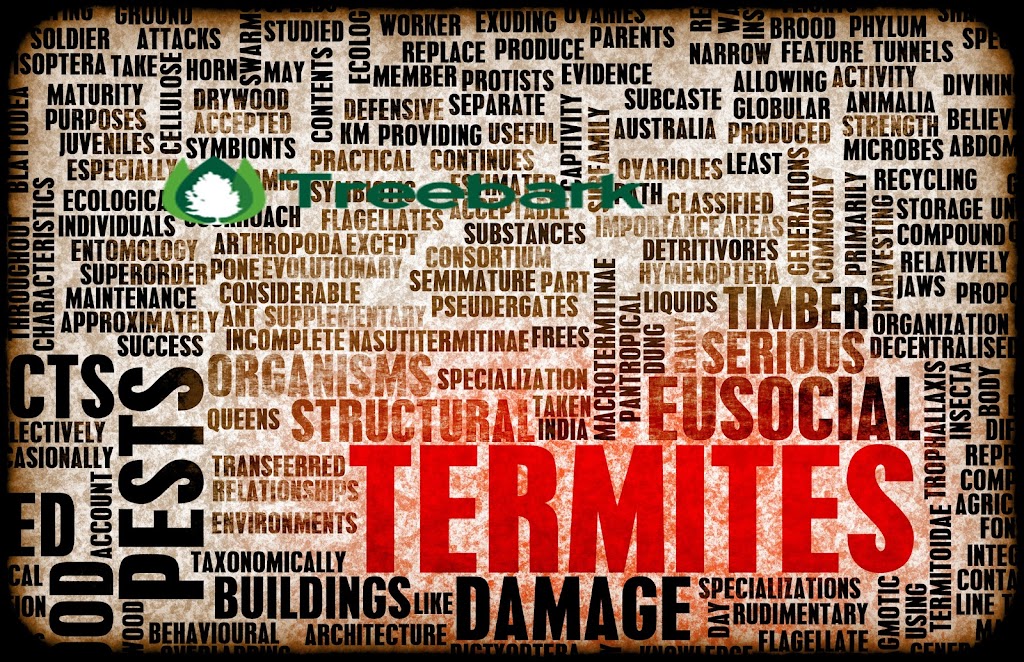 Treebark Termite and Pest Control | 9778 Katella Ave #210, Anaheim, CA 92804, USA | Phone: (714) 406-4919