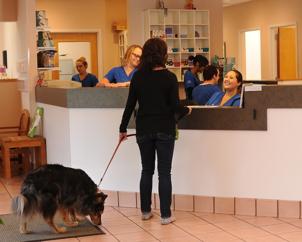 Gentle Care Animal Hospital - at Ten Ten Rd. | 3435 Kildaire Farm Rd, Cary, NC 27518, USA | Phone: (919) 387-3435