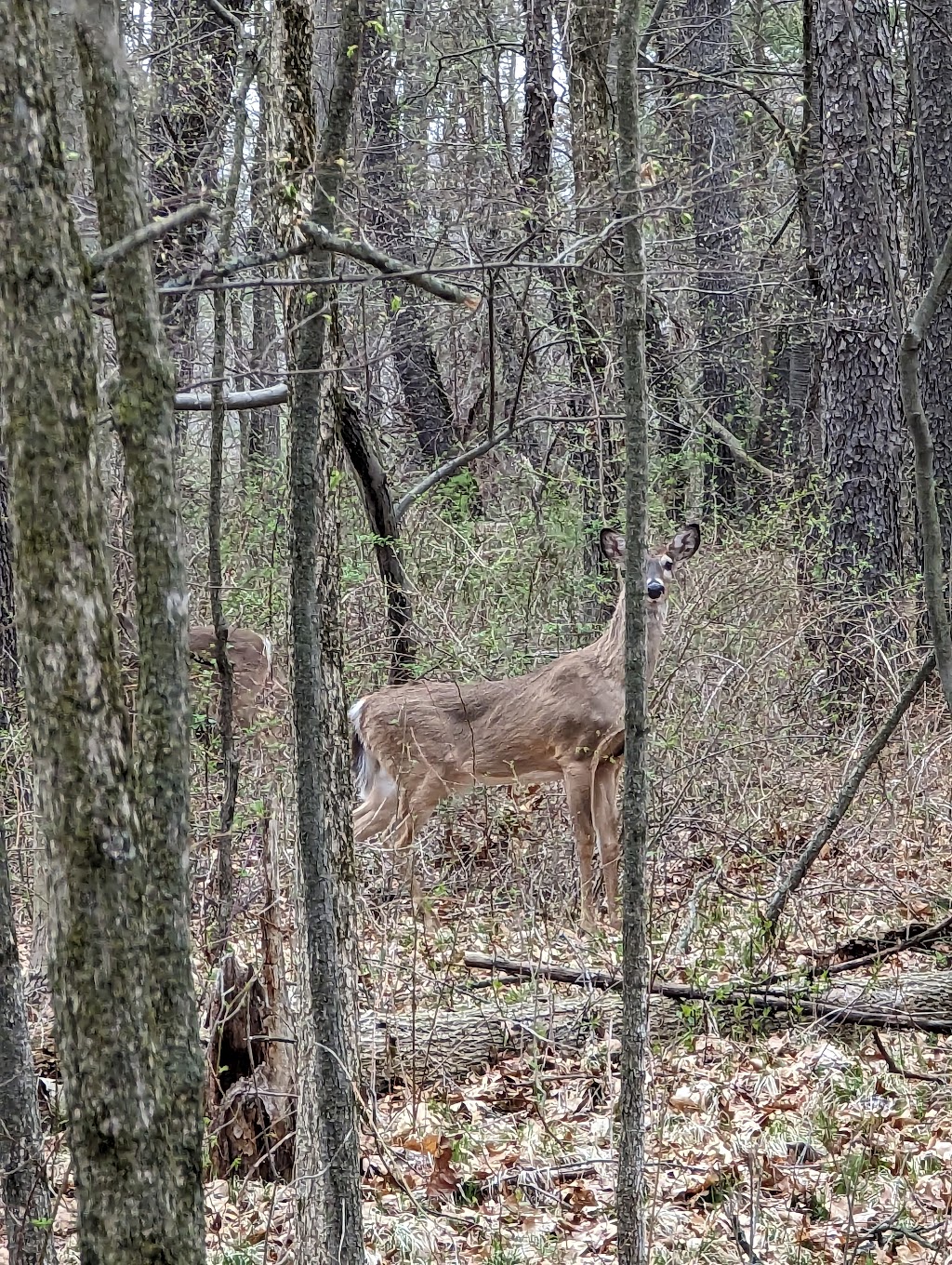 Stony Creek Metropark Nature Center | 4300 Main Park Road, Shelby Township, MI 48316, USA | Phone: (586) 781-4242