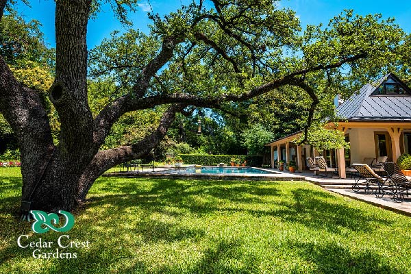 Cedar Crest Gardens | 2842 Singleton Blvd Suite 100, Dallas, TX 75212, USA | Phone: (214) 497-8555