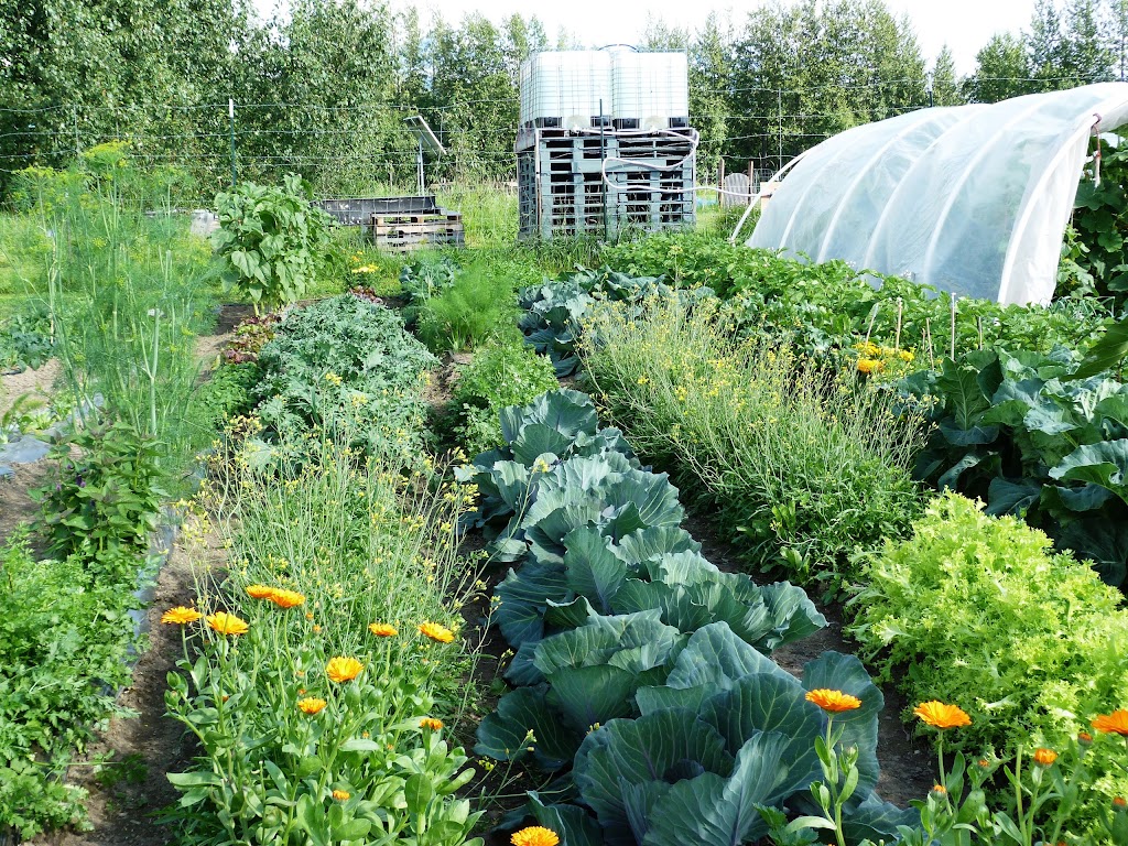 Good Earth Garden School | 4700 Farm Loop, Palmer, AK 99645, USA | Phone: (907) 745-0758