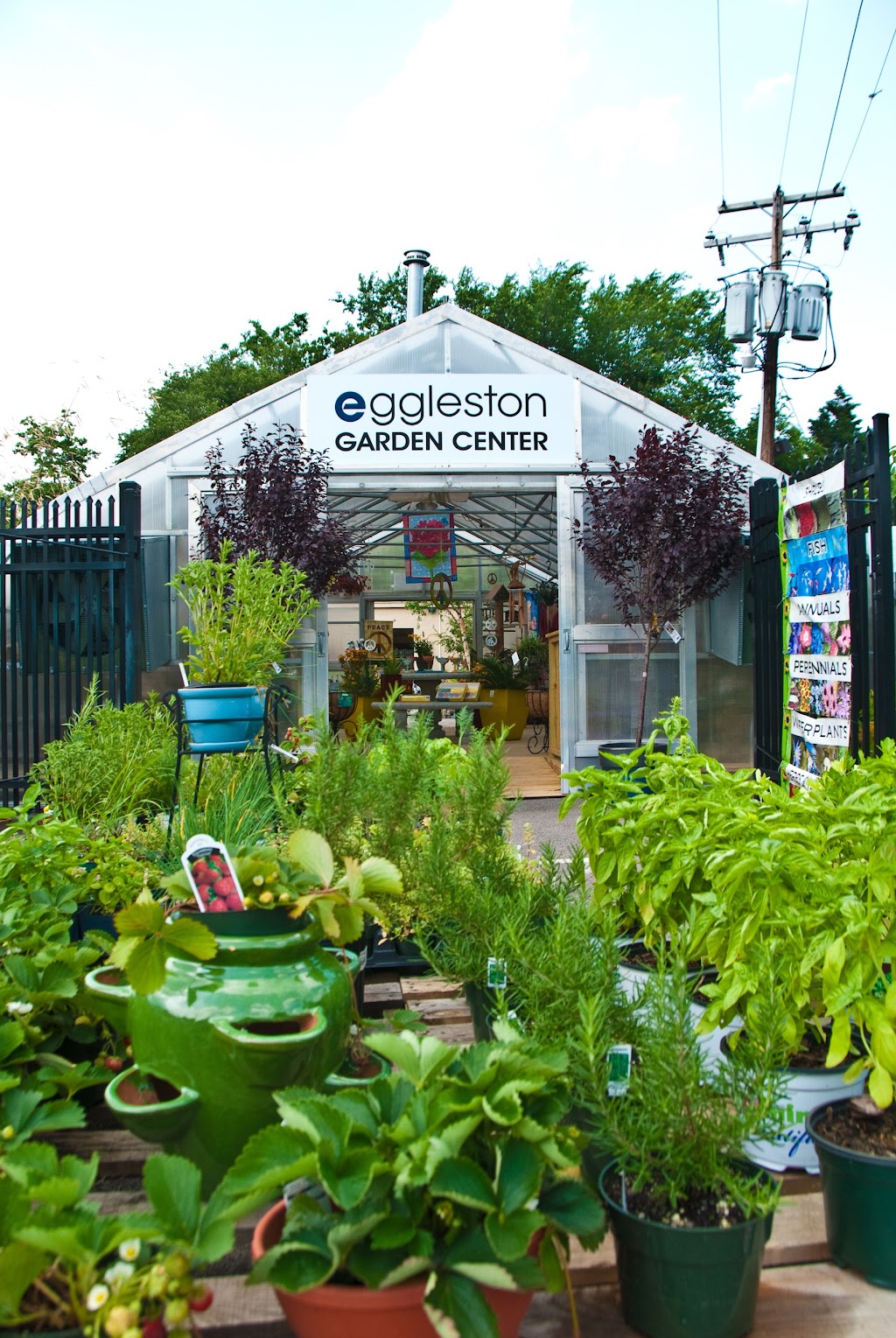Eggleston Garden Center & Farmers Market | 110 La Valette Ave suite d, Norfolk, VA 23504, USA | Phone: (757) 625-2044