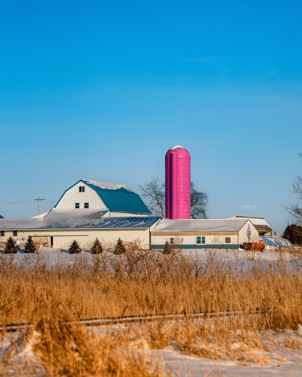 Rackow Family Sausage | N1943 Schindler Rd, Juda, WI 53550, USA | Phone: (608) 325-4547