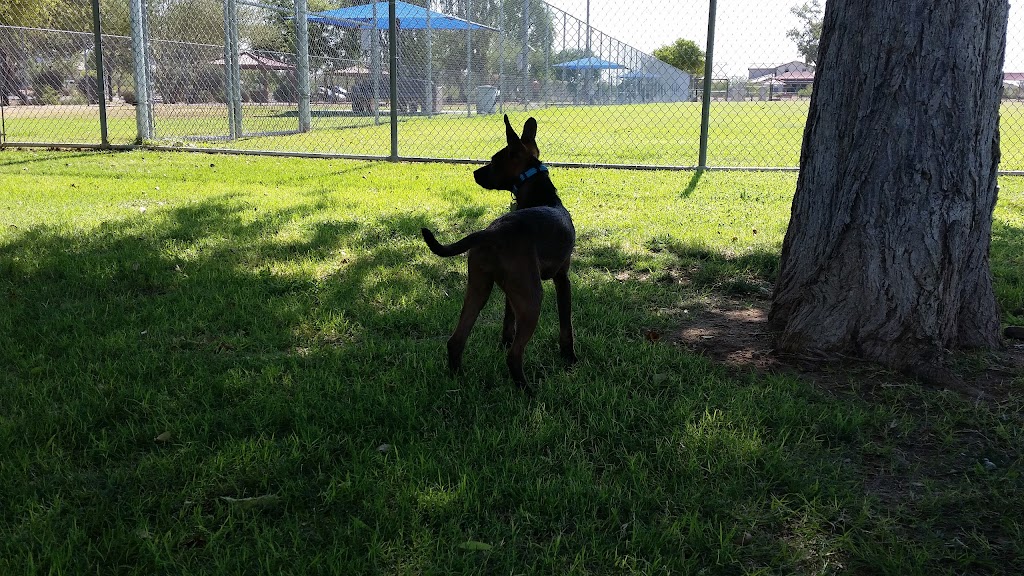 Foothills Dog Park | 19055 N 57th Ave, Glendale, AZ 85308 | Phone: (602) 717-8248