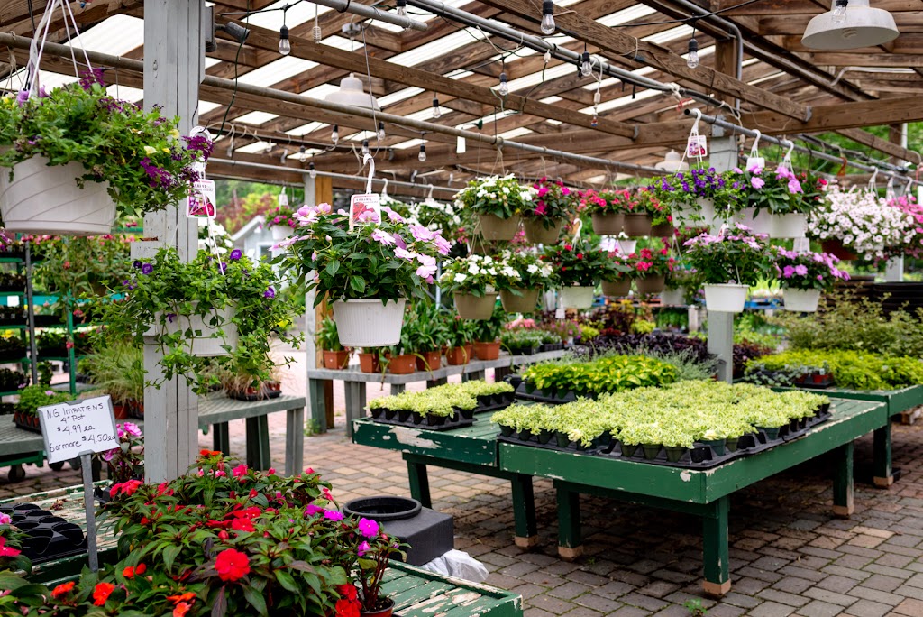 Red Hill Nursery | 241 S Little Tor Rd, New City, NY 10956, USA | Phone: (845) 634-2498