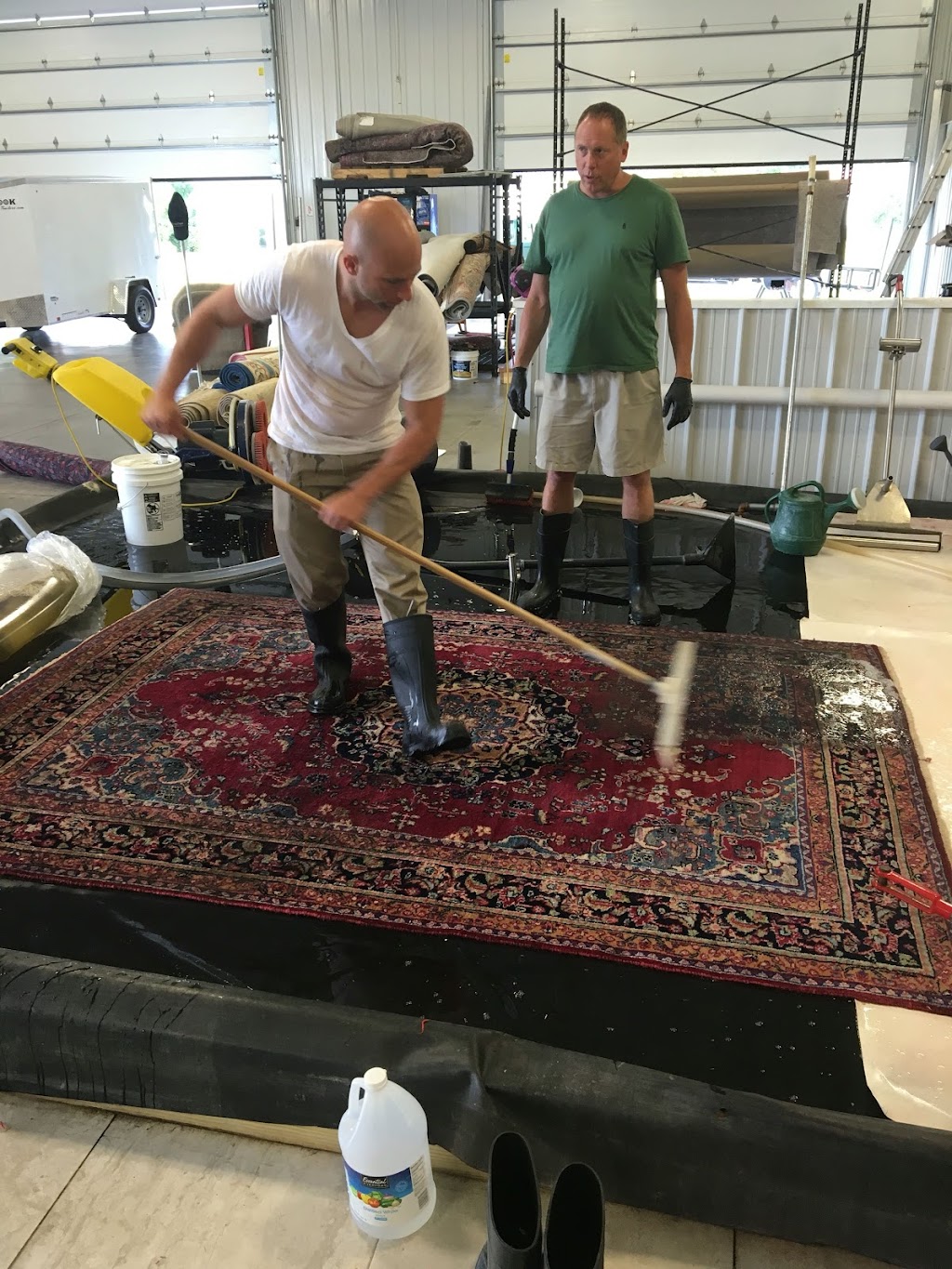 Parrot Rug Cleaning & More | 83 County Rd B E, Little Canada, MN 55117, USA | Phone: (651) 661-1987